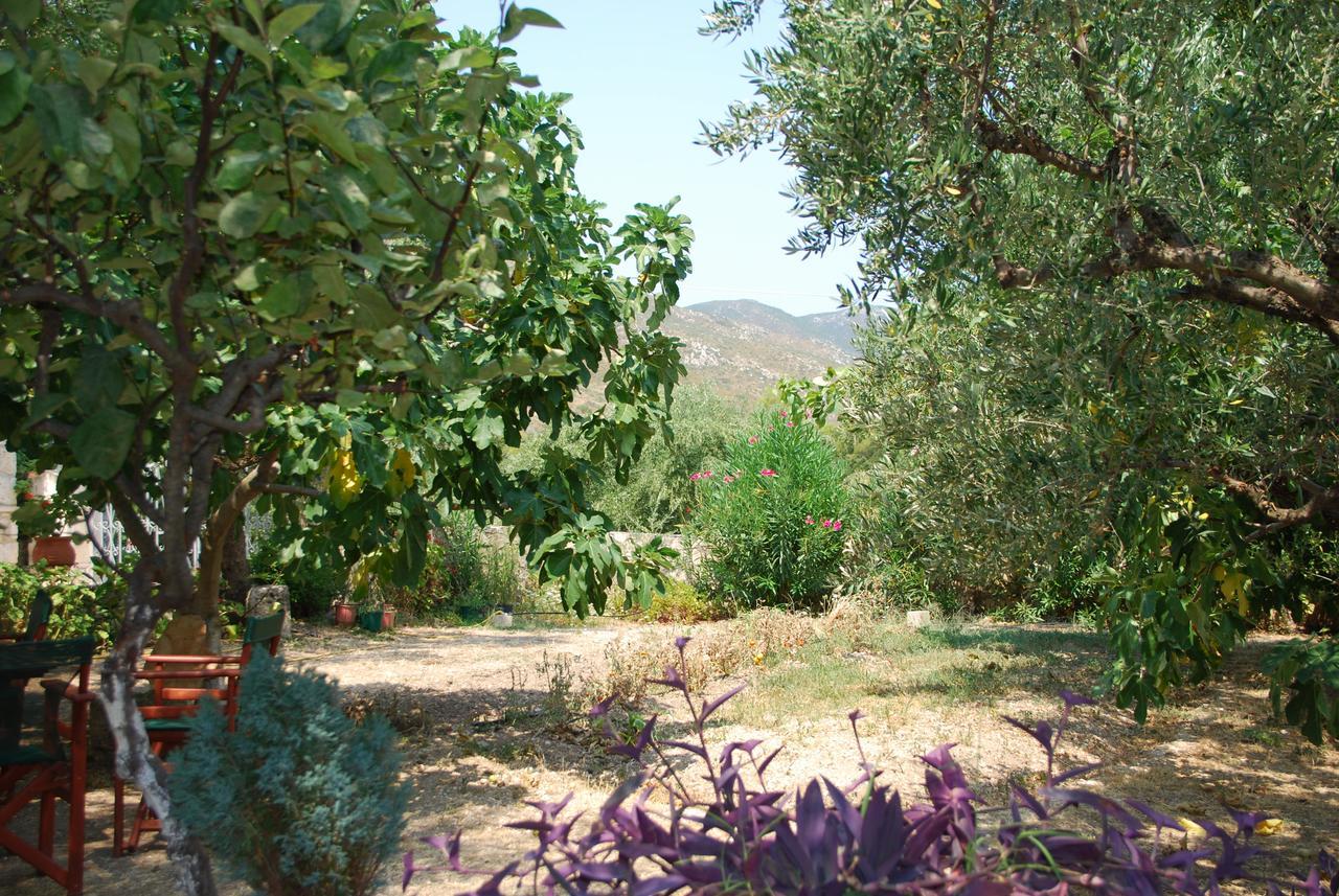 Anatoli Labreon Hotel Agia Marina  Exterior photo
